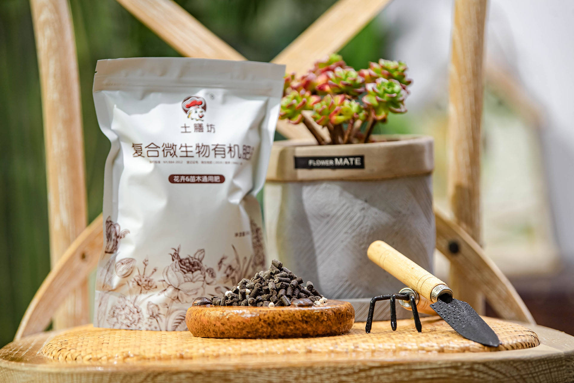 衛(wèi)生間可以養(yǎng)什么綠植_衛(wèi)生養(yǎng)間綠植可以放陽臺(tái)嗎_衛(wèi)生間養(yǎng)綠植影響風(fēng)水