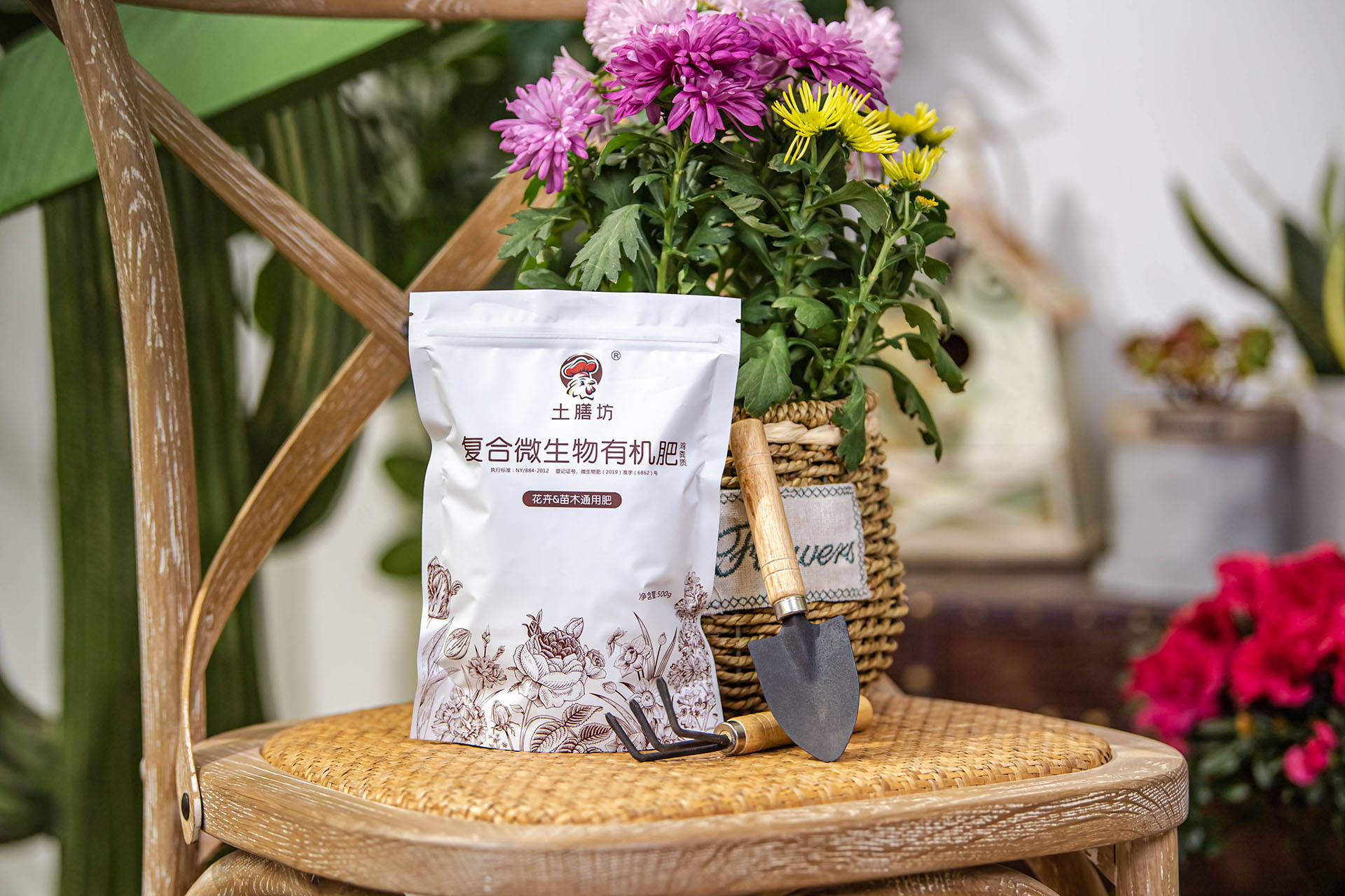 衛(wèi)生養(yǎng)間綠植可以放陽臺(tái)嗎_衛(wèi)生間可以養(yǎng)什么綠植_衛(wèi)生間養(yǎng)綠植影響風(fēng)水