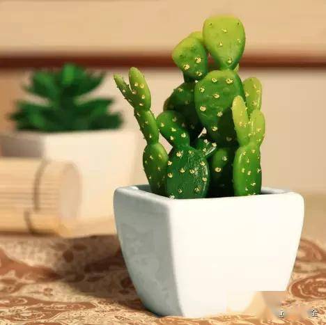 適合臥室的綠植_臥室綠植適合養什么花_臥室適合綠植嗎