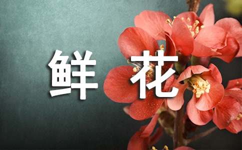 <strong>送朋友鮮花的祝福語</strong>