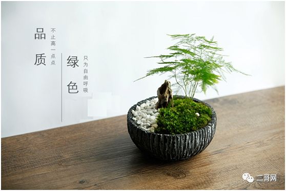 送花給同學(xué)的祝福語(yǔ)_送同學(xué)的花_送花給同學(xué)