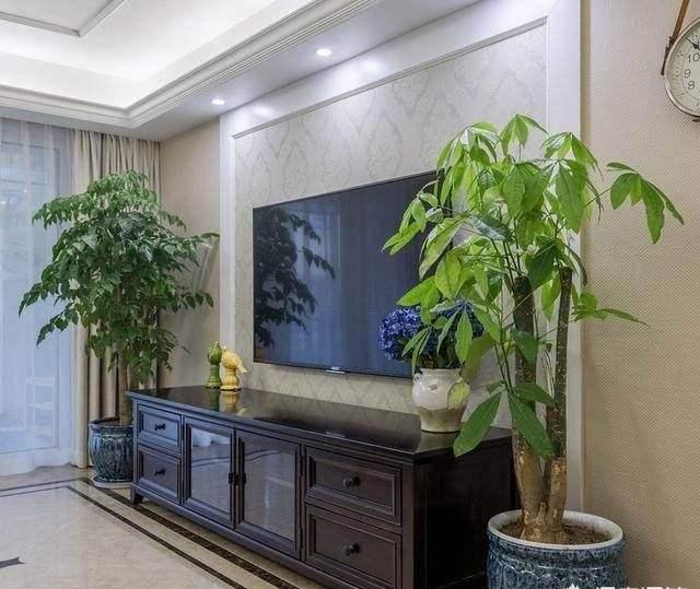 8種“大型花”樹，客廳養一盆，吸廢氣造氧氣，旺家又吉利