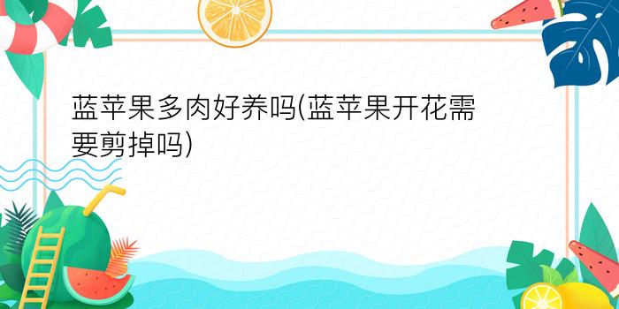 <strong>藍(lán)蘋(píng)果多肉好養(yǎng)嗎 (藍(lán)蘋(píng)果開(kāi)花需要剪掉嗎)</strong>
