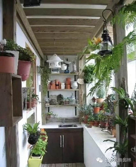 陽臺適合養殖什么花草_陽臺養植物適合什么花_陽臺適合養什么植物
