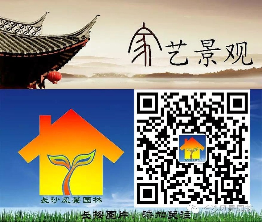 陽臺適合養什么植物_陽臺適合養殖什么花草_陽臺養植物適合什么花